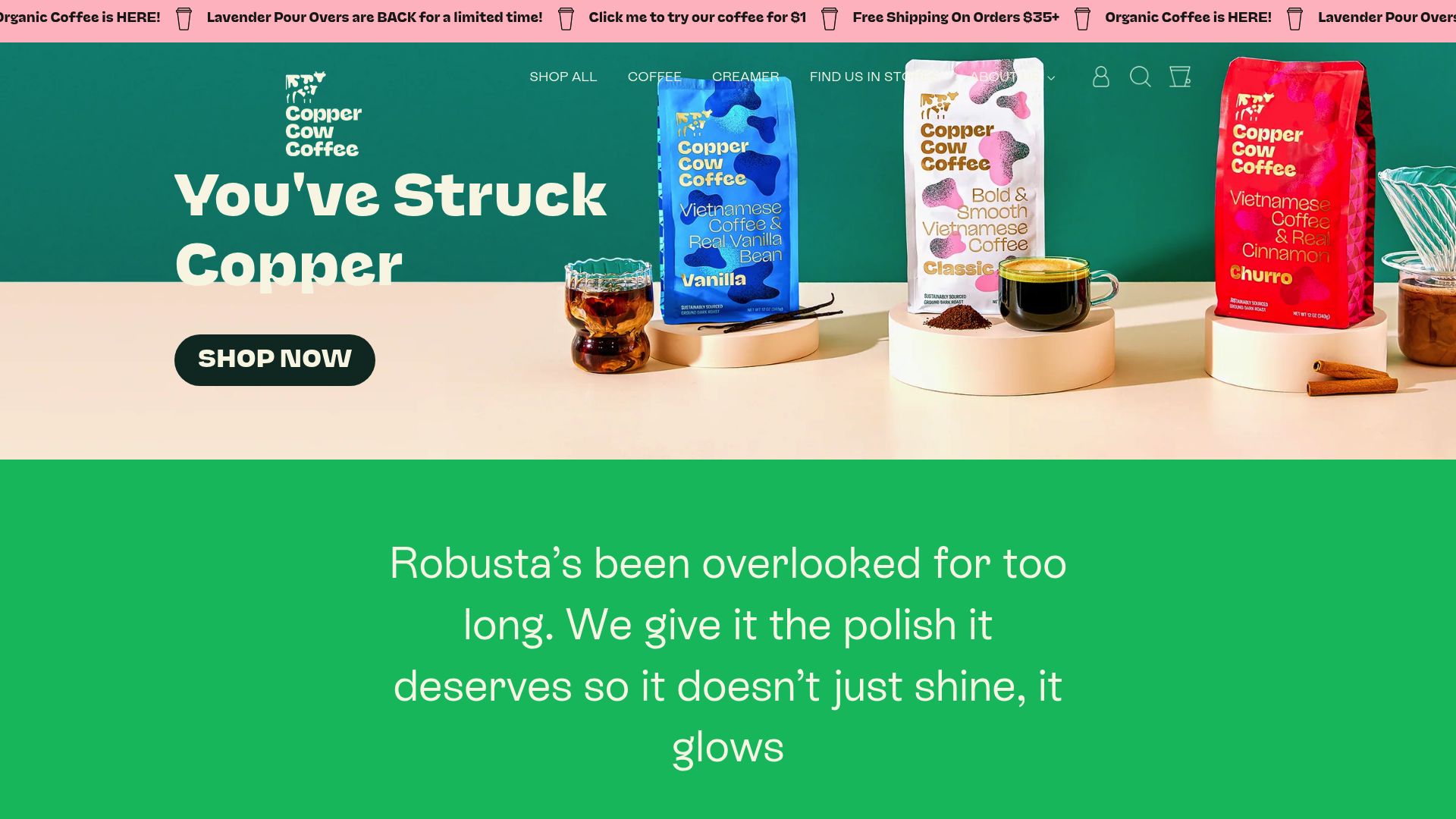 12 Best Product Landing Pages to Inspire You in 2025 - Copper Cow Coffee