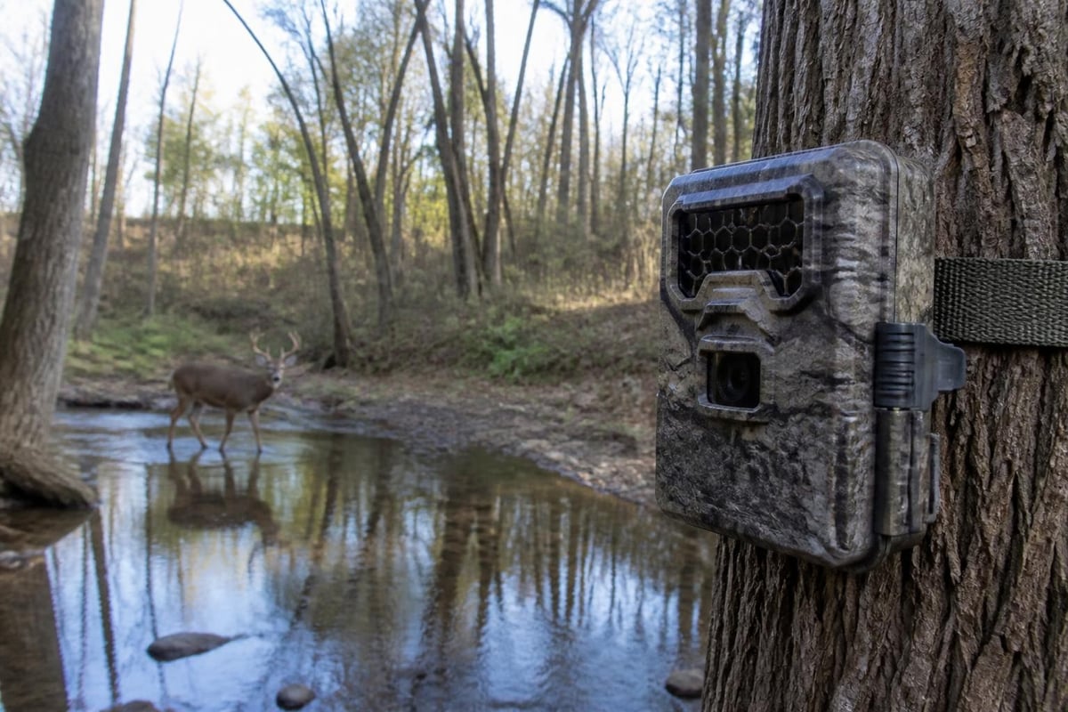 Summer water source monitoring