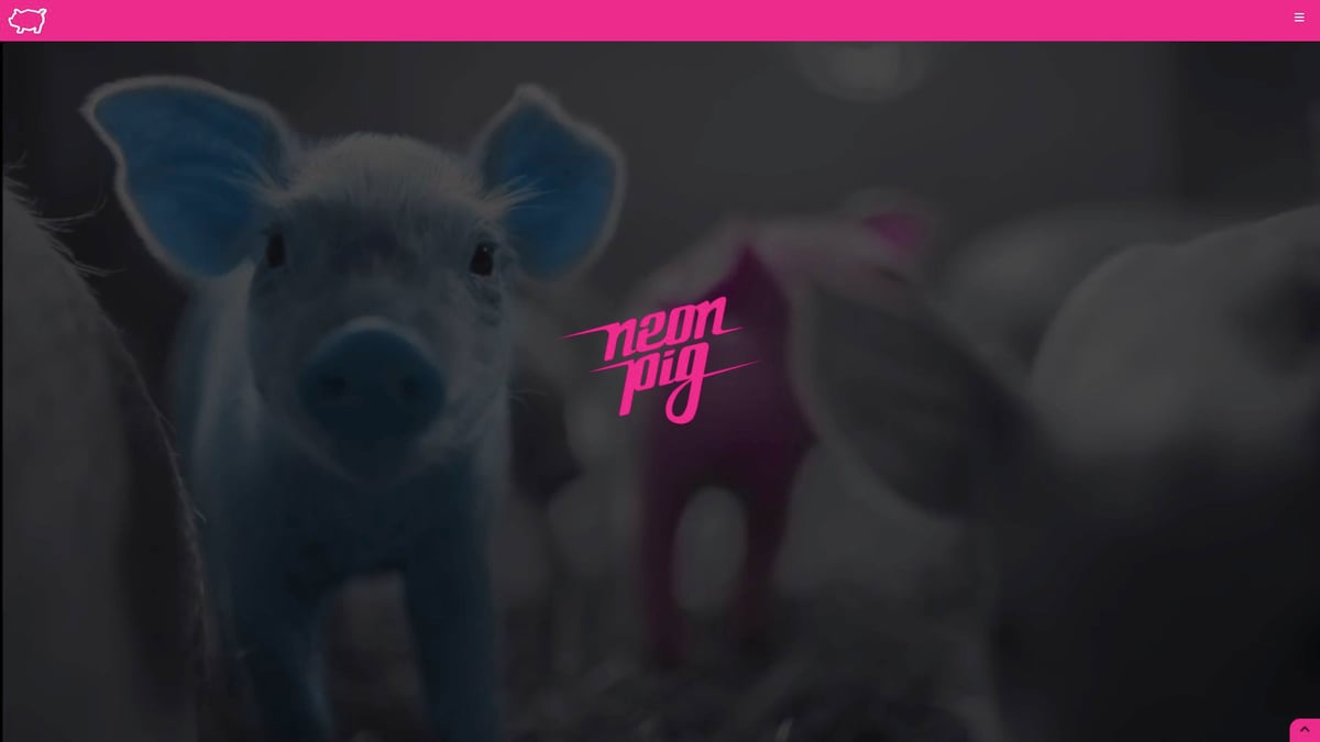 7 Best Marketing Firms Colorado Springs to Boost Your Brand 2026 4 7 Best Marketing Firms Colorado Springs to Boost Your Brand 2026 - Neon Pig Creative