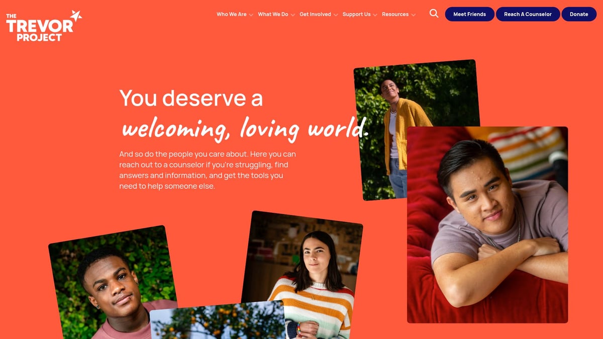 Top 8 Mental Health Organizations to Know in 2026 - The Trevor Project