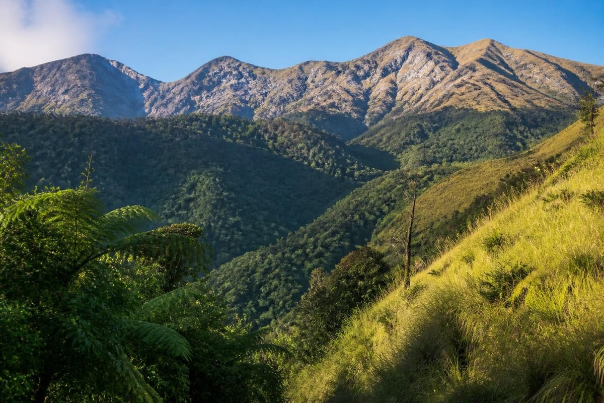 Senaru trail ecosystem zones