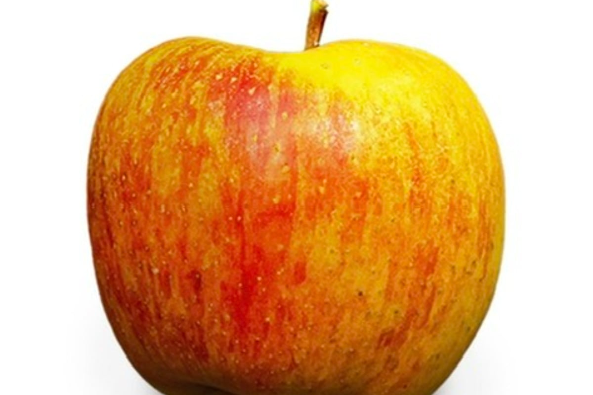 Frugtcompagniet - FrugtCompagniet