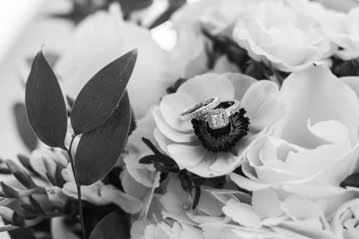 Full Day or Split Day Elopement Photography Package - Jennifer Mummert Photography