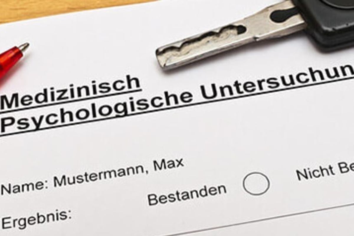 Führerschein - führerschein kaufen
