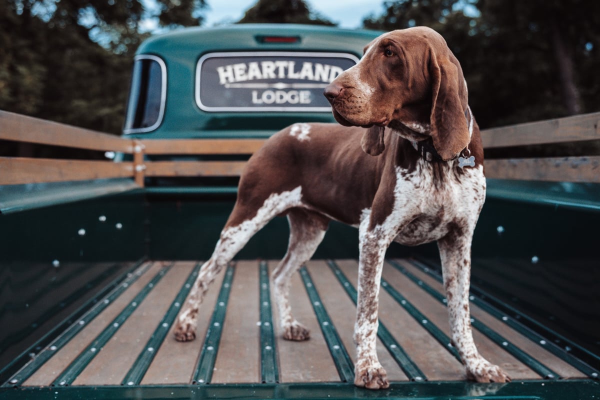 The Upland Escape Giveaway - RCS Outdoors