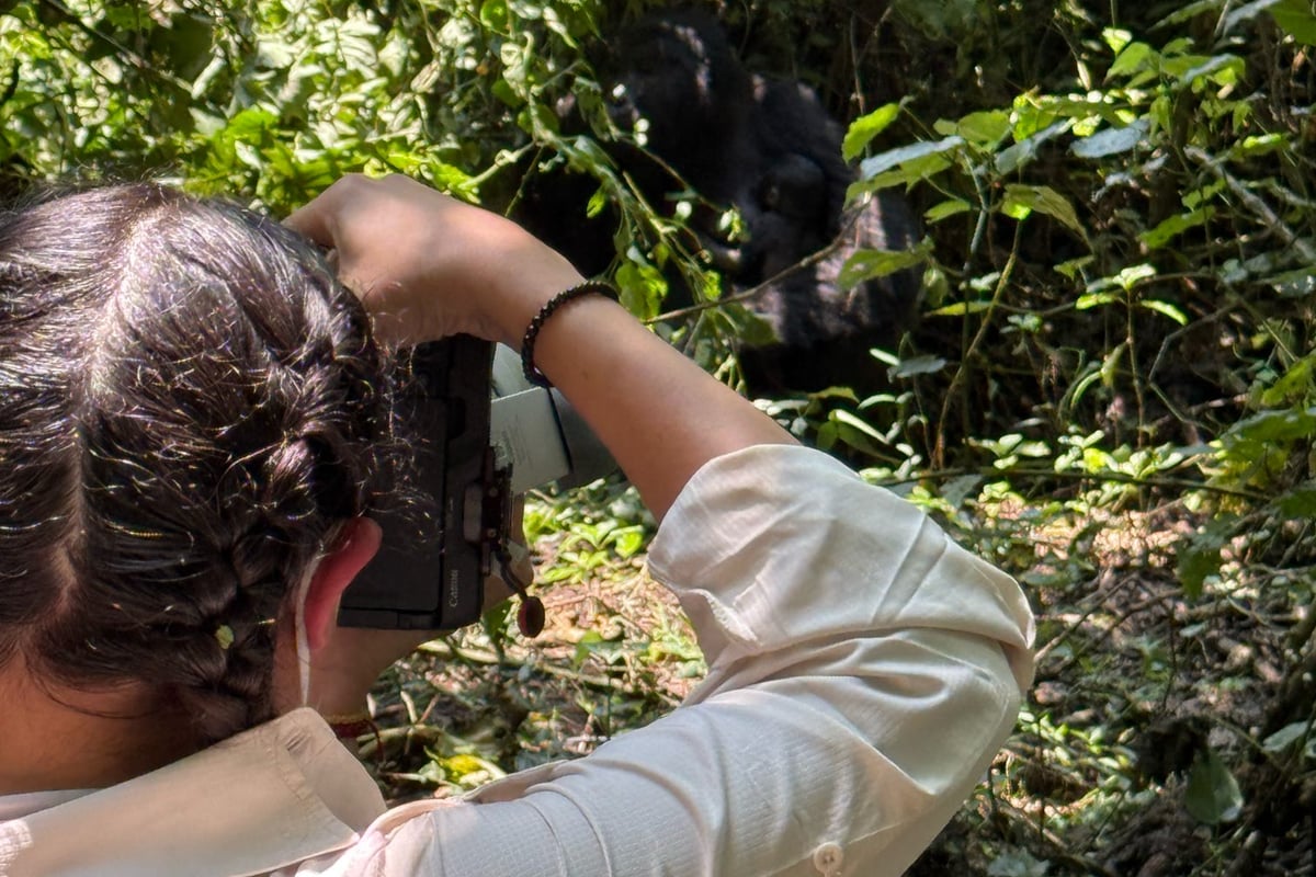 7 Days Gorilla and Wildlife Safari in Uganda. - Village Of Lakes Safaris