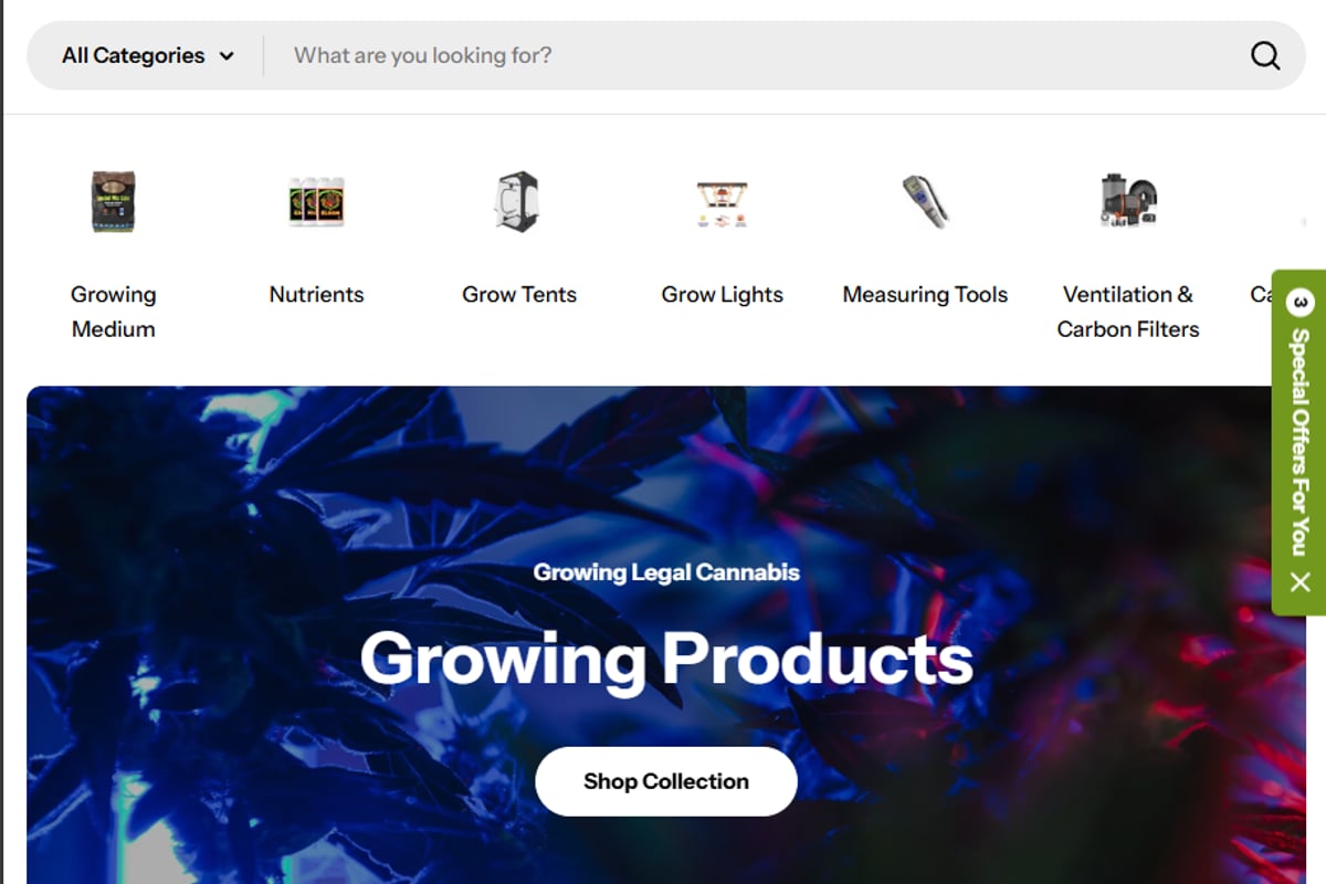 Website Design - Empixa