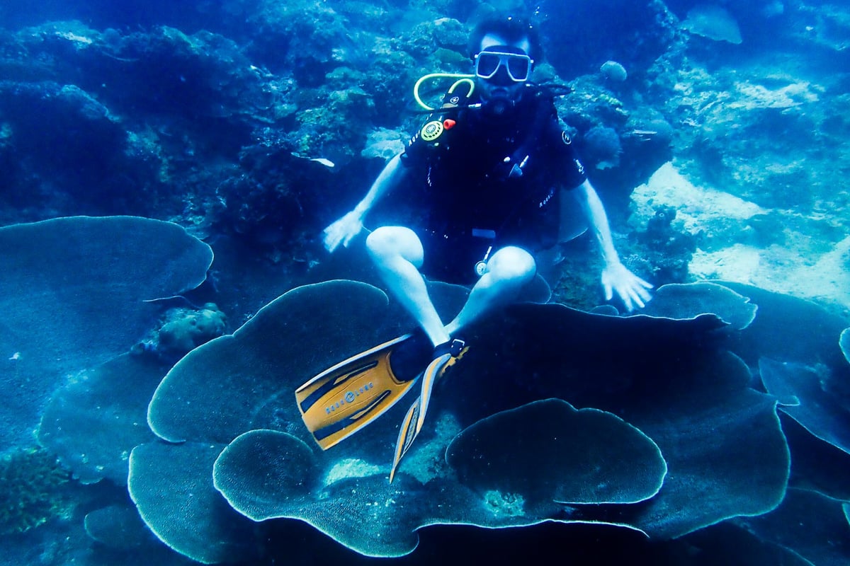 Discover Scuba Diving - Palawan Diving