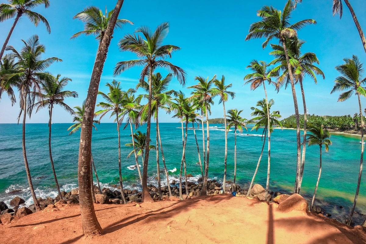 Vacations Sri Lanka: Your Complete 2026 Guide 1 Sri Lanka Tours - Estiaco Holidays