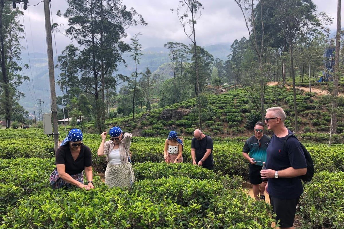 Sri Lanka Package Trip: Complete Planning Guide 2026 1 Tailor-Made Holidays - Estiaco Holidays