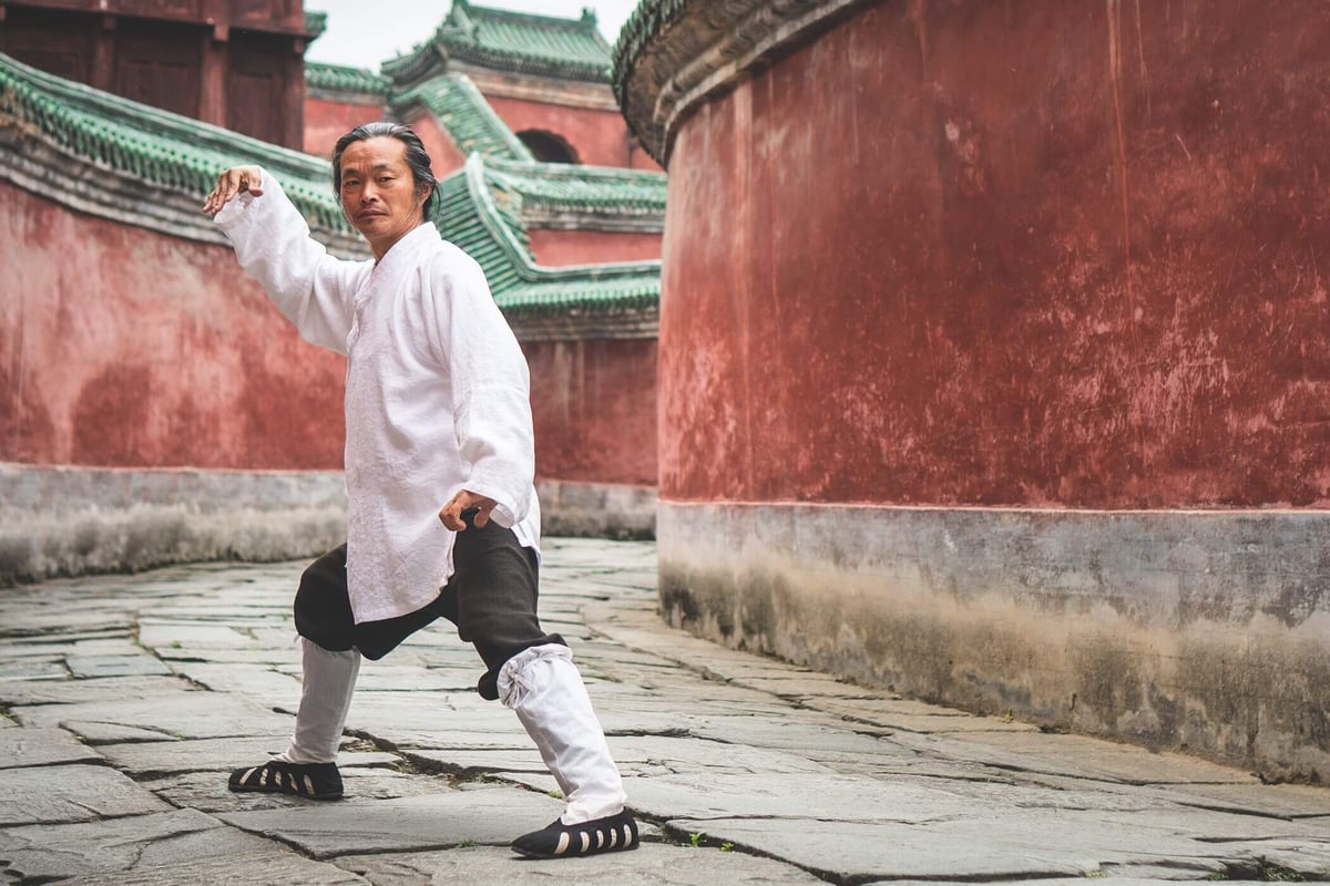 Taoist Wellness Academy Online Membership - Taoist Wellness Online