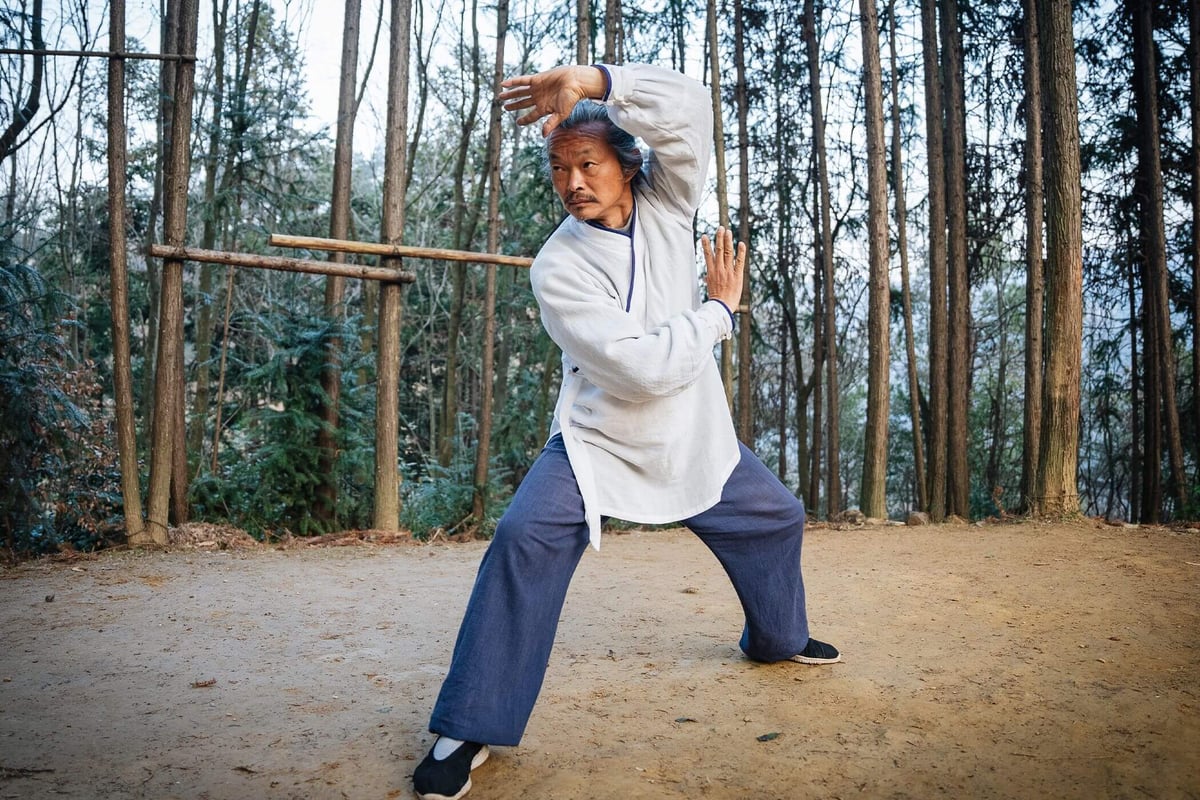 Taoist Wellness Academy Online Membership - Taoist Wellness Online