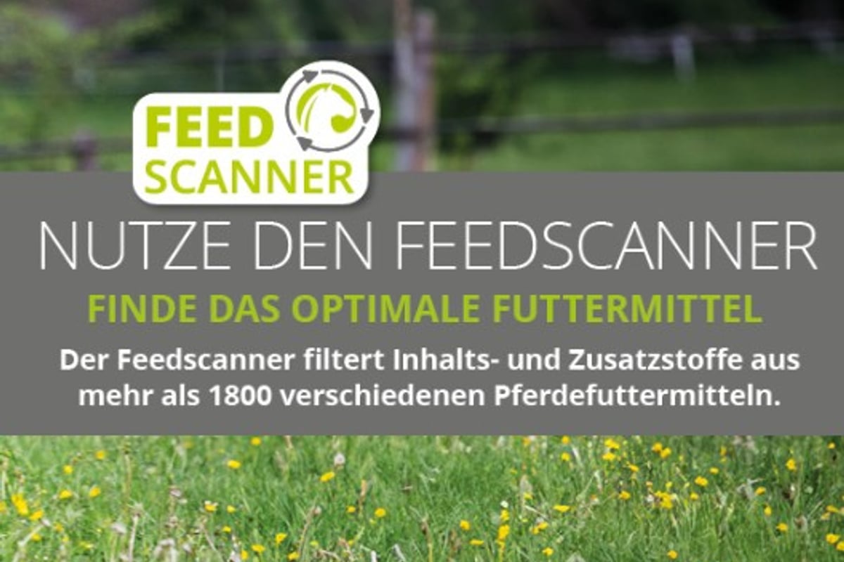 Feedscanner - STRÖH E-Commerce GmbH