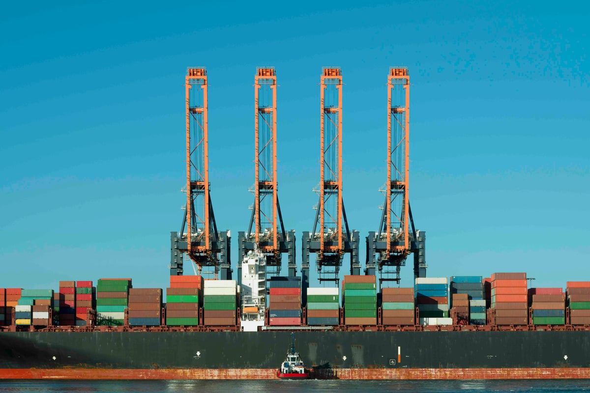 The Sov Sentinel - The Sov Sentinel