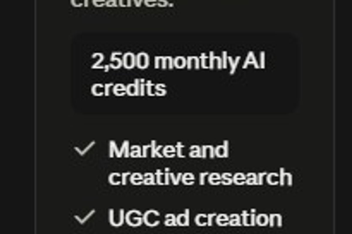 VidBud AI UGC Video Plans - VidBud