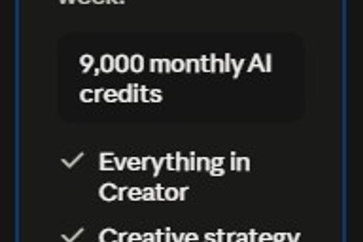 VidBud AI UGC Video Plans - VidBud