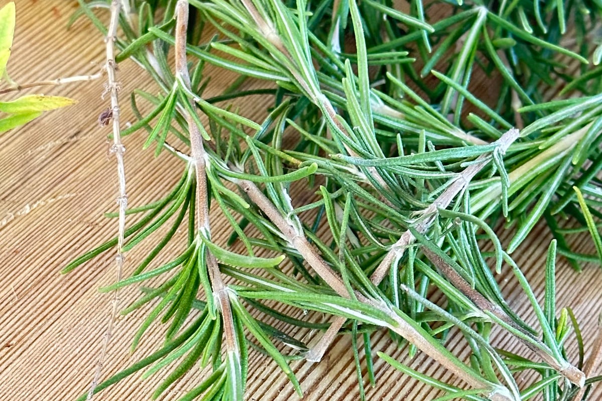 Ikaria Blue Zone Herbal Tea - Greek Superherbs
